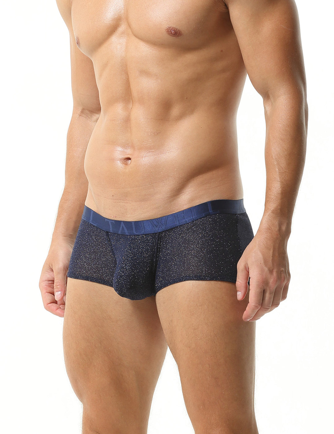 Low Rise Shiny Boxer Brief 23203