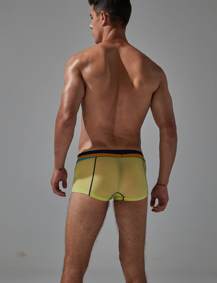 Sexy Nylon Boxer Brief 230215