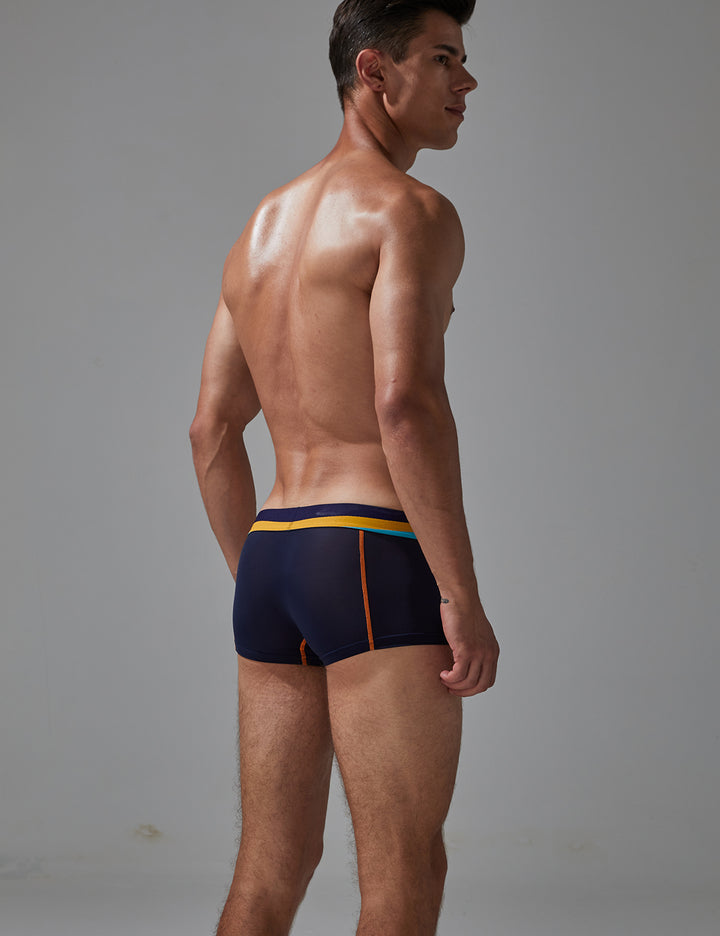 Sexy Nylon Boxer Brief 230215