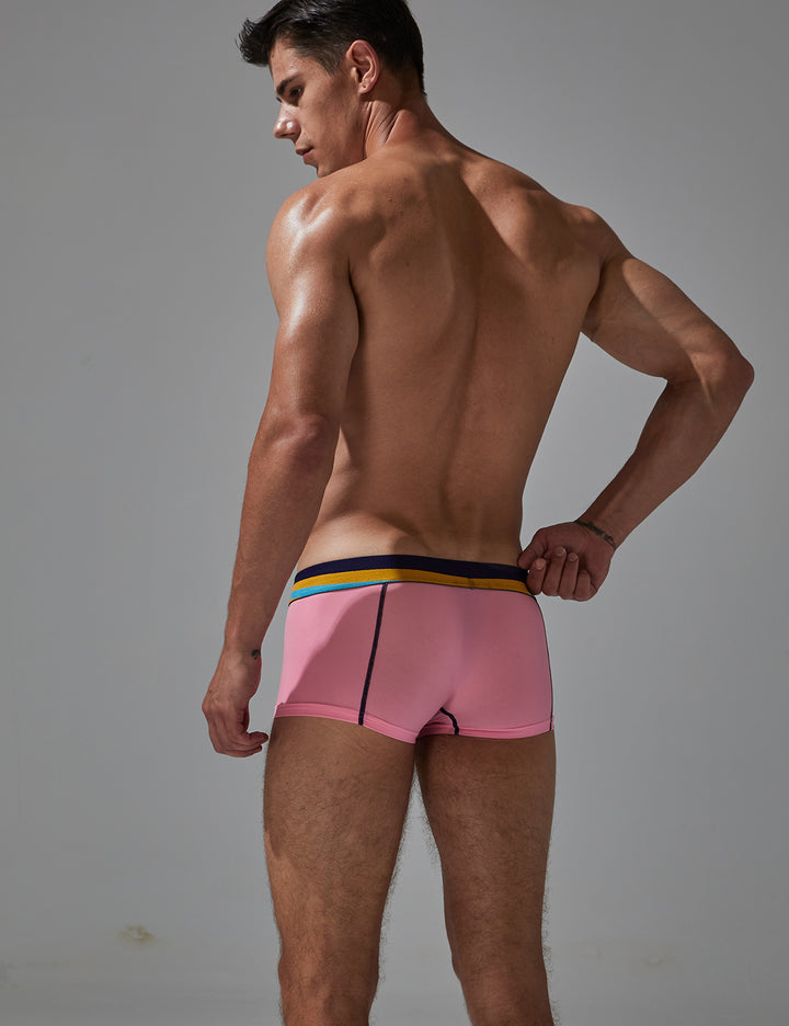 Sexy Nylon Boxer Brief 230215