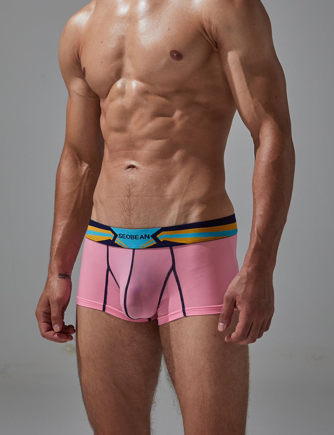 Sexy Nylon Boxer Brief 230215
