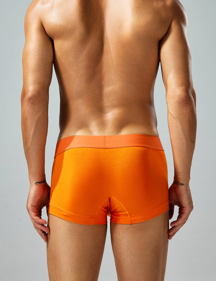 Solid Color Boxer Brief 250209