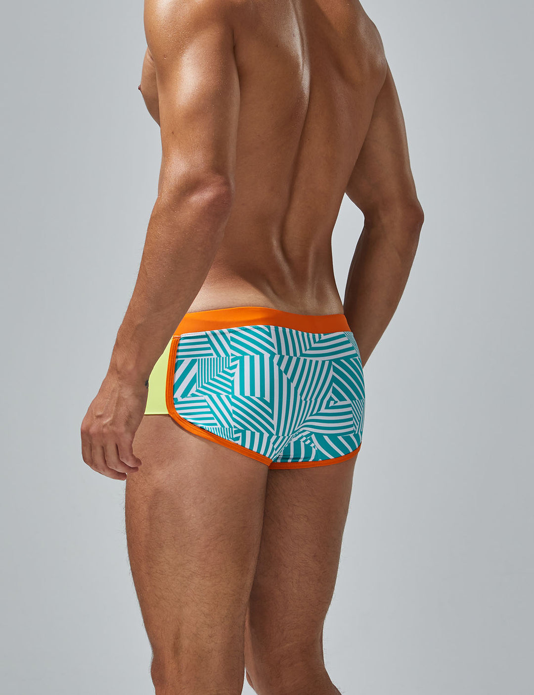 Multi Stripes Swim Trunk 250802