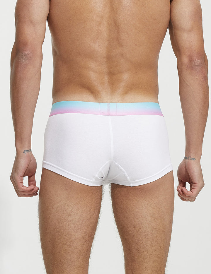 7 Colors Boxer Brief 230206
