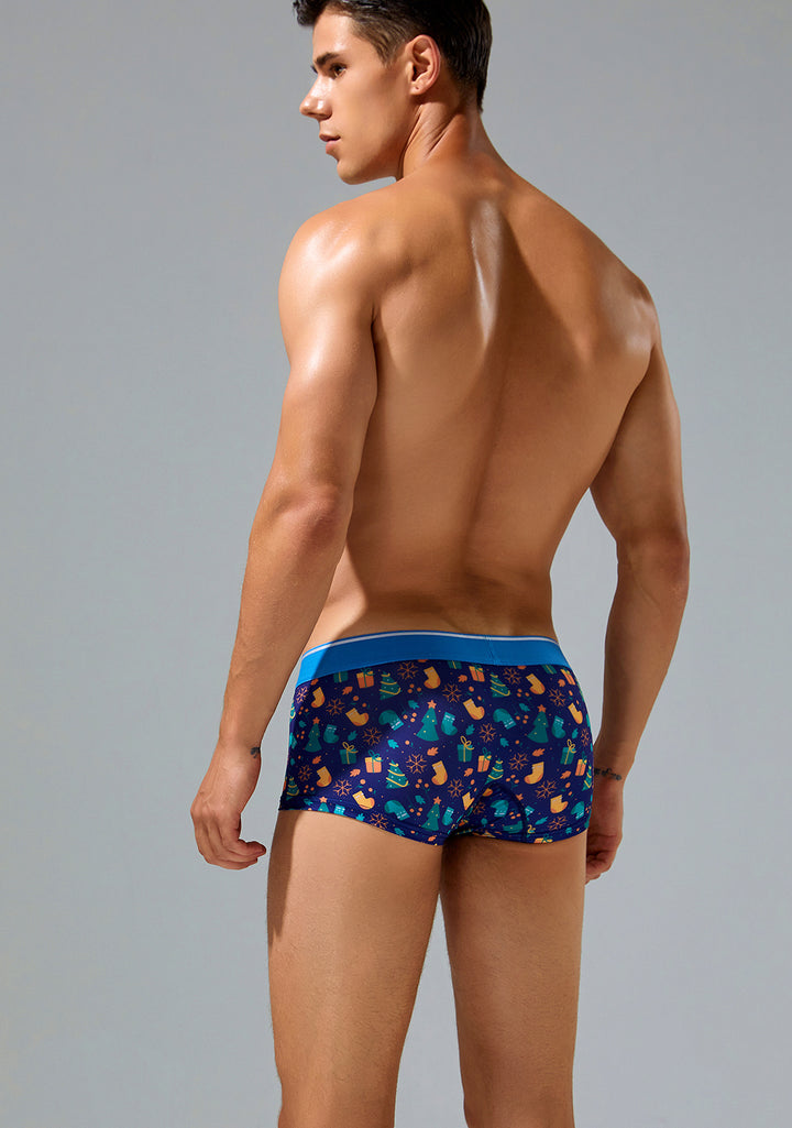 Holiday Boxer Brief 230210 in Blue