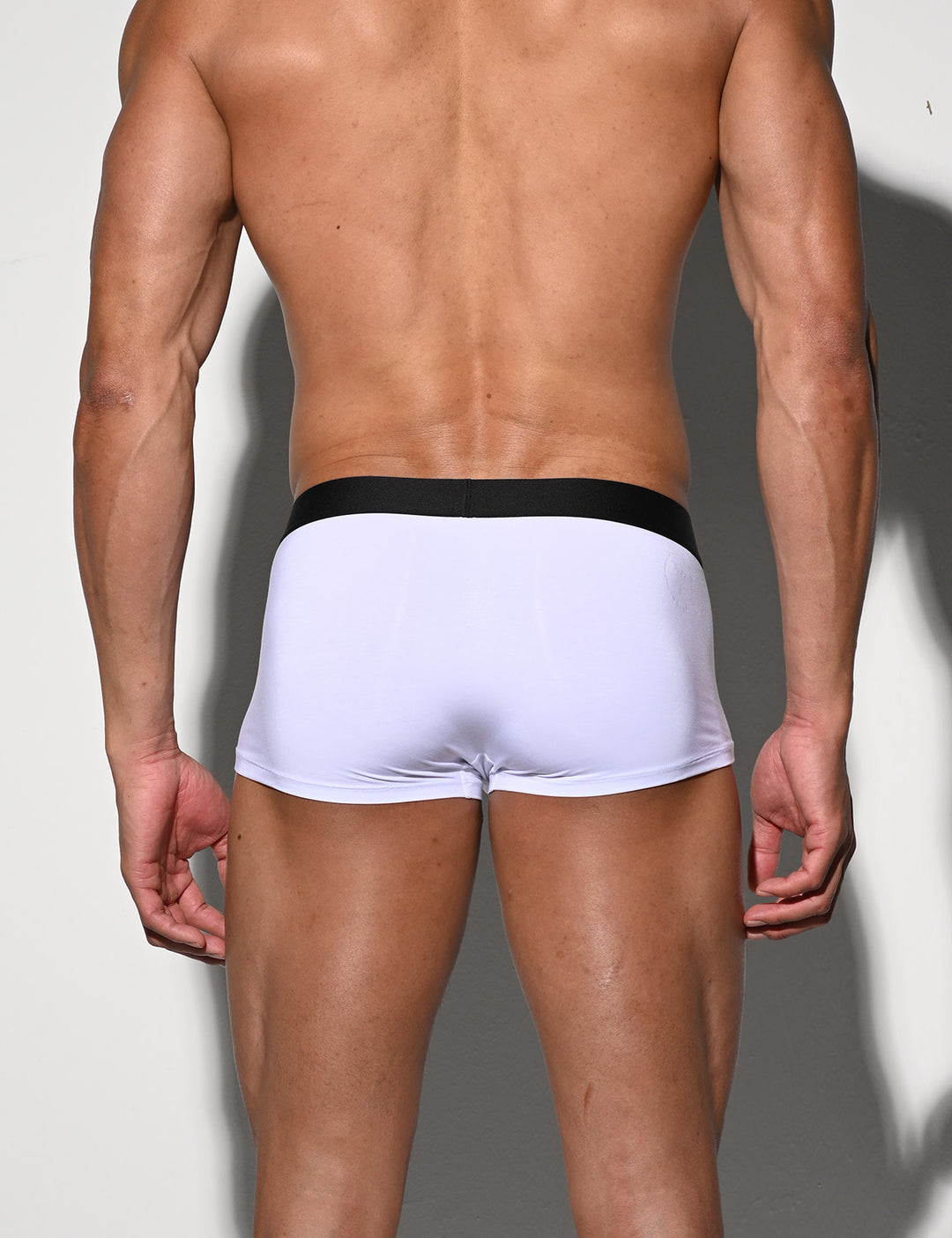Low Rise Modal Boxer Briefs U4531
