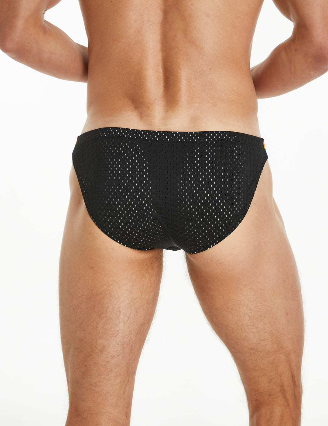 Rainbow Mesh Brief 240103