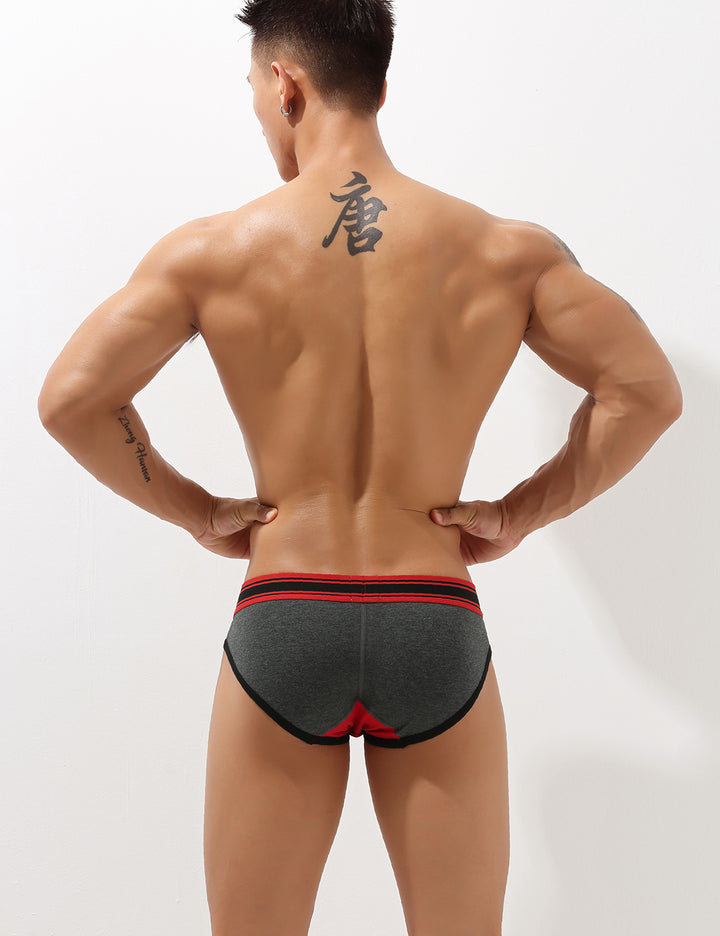 Low Rise Sexy Briefs 10101