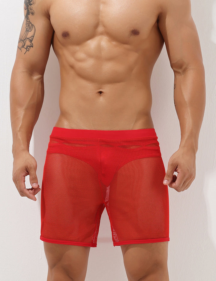 Sexy Mesh Shorts 00605