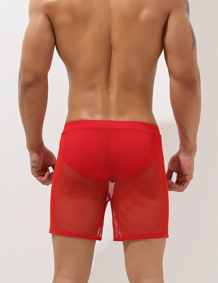Sexy Mesh Shorts 00605