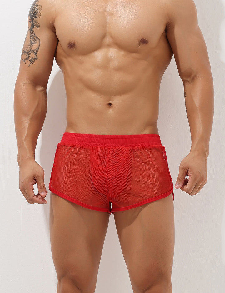 Sexy Mesh Trunks 00604