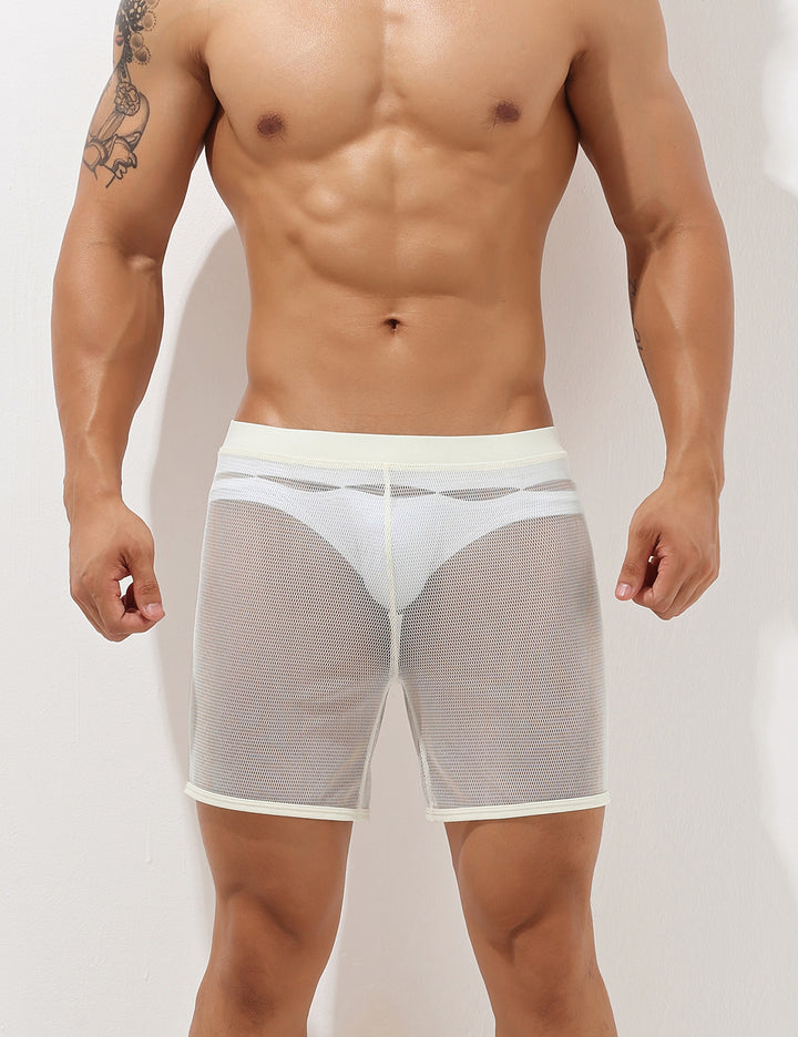 Sexy Mesh Shorts 00605