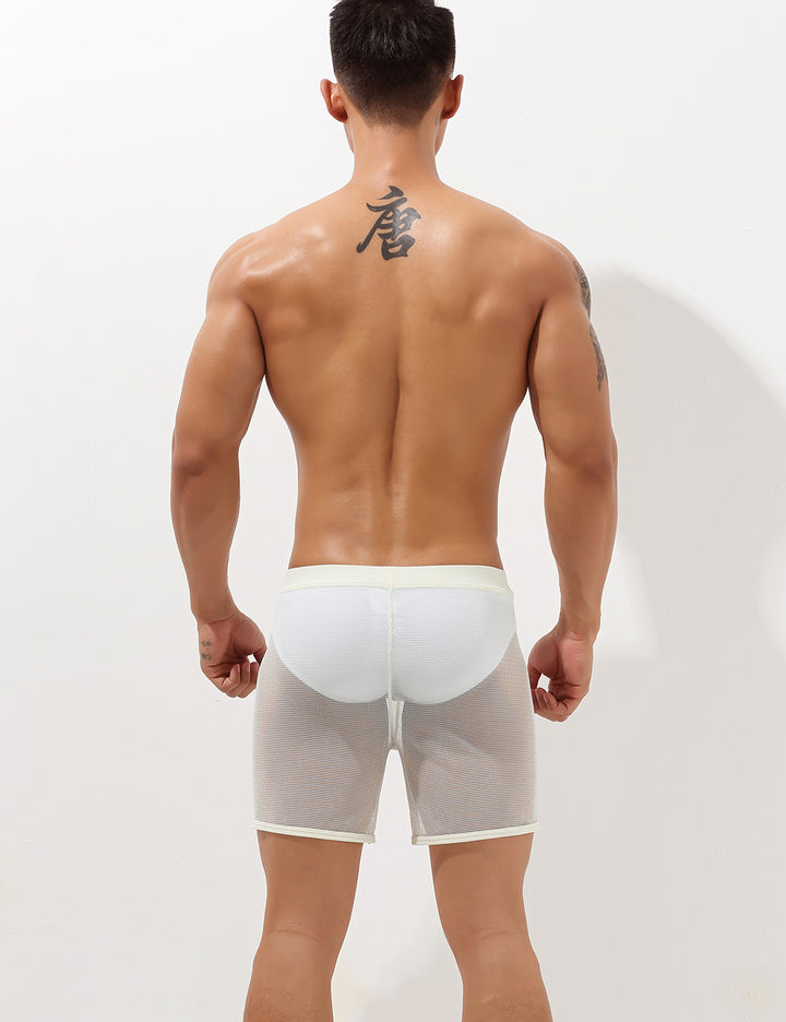 Sexy Mesh Shorts 00605