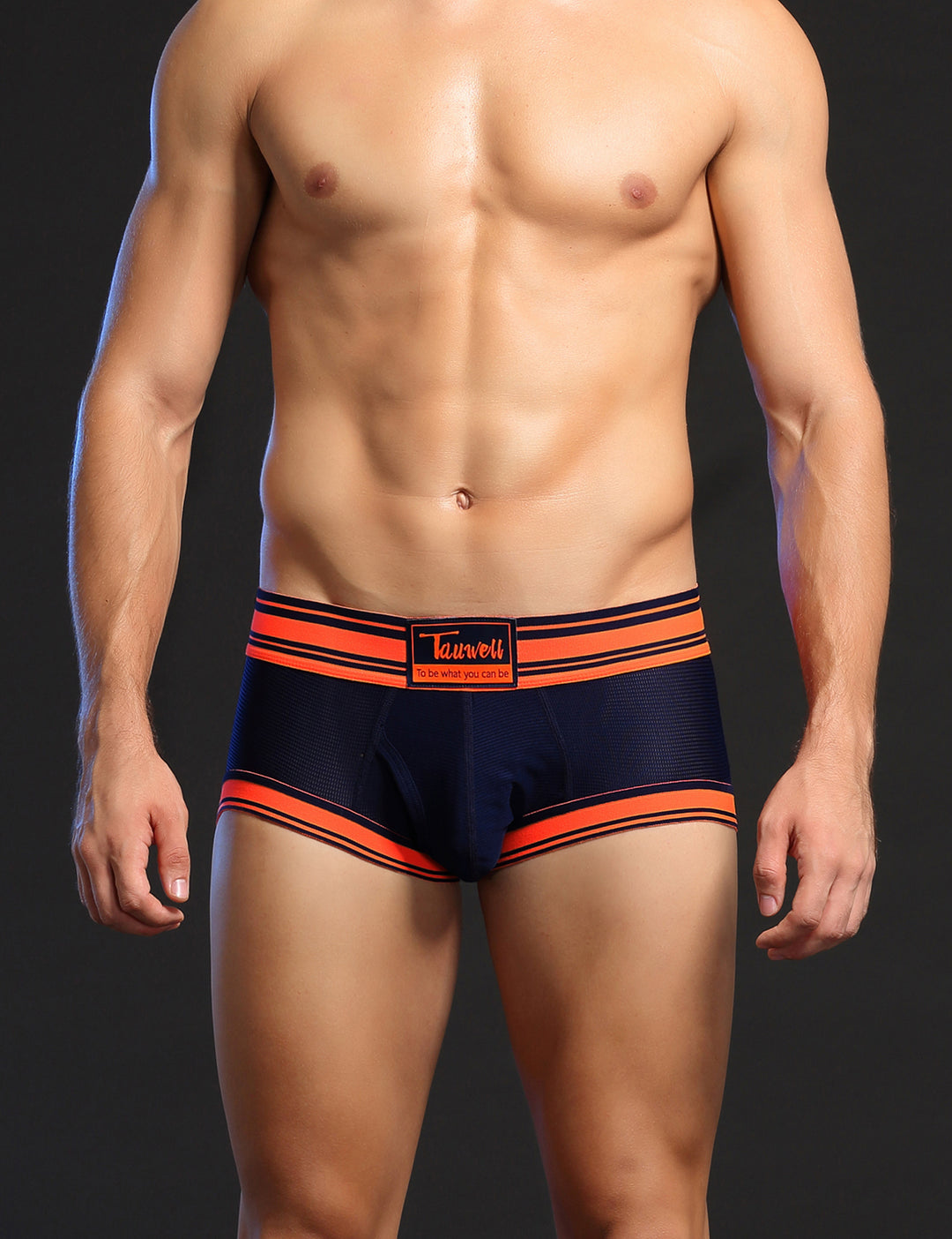 Mesh Boxer Briefs 1201