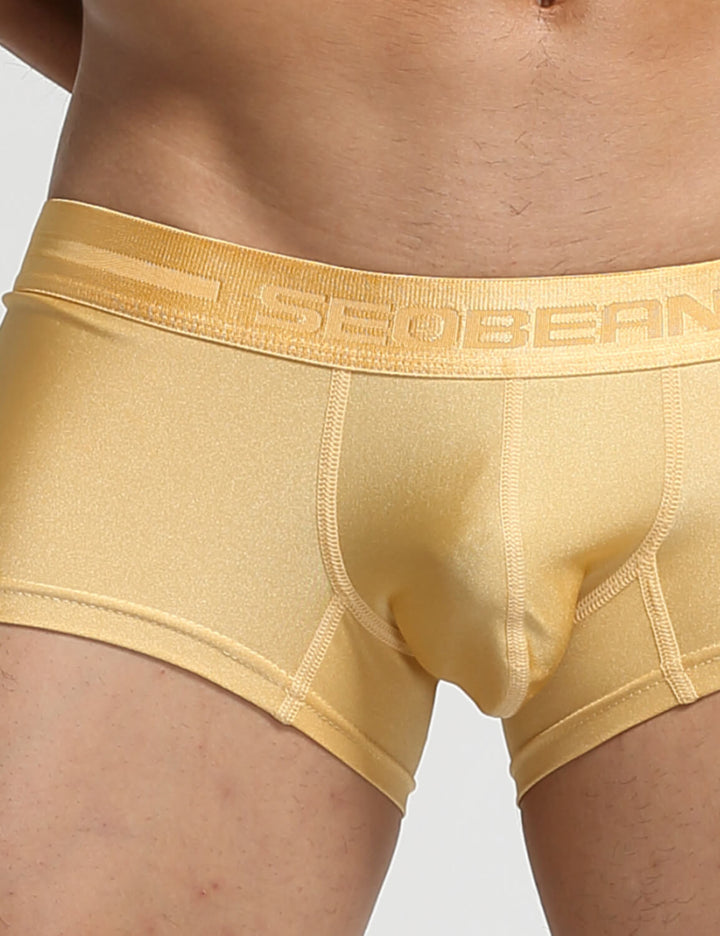 Shiny Gold or Silver Boxer Briefs 10212