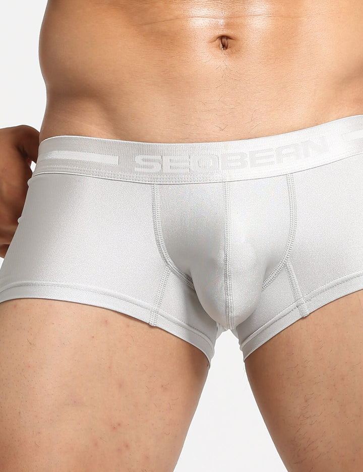 Shiny Gold or Silver Boxer Briefs 10212