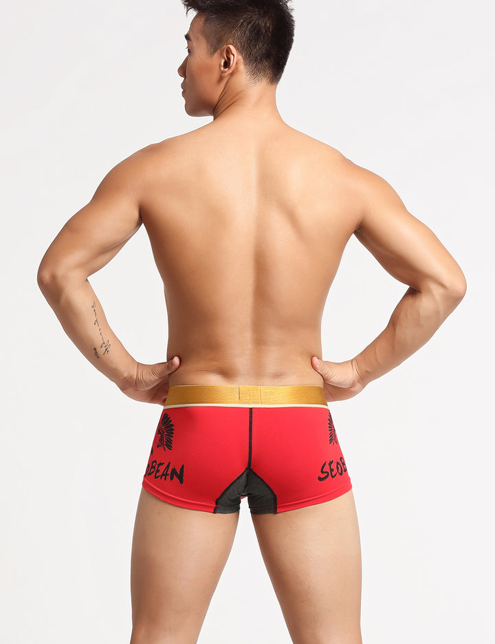 Avatar Boxer Briefs 10203