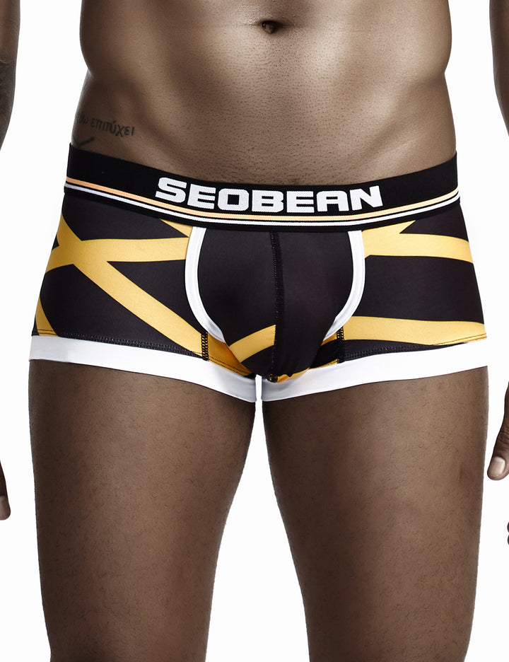 Low Rise Sexy Stripe Boxer Brief 90224