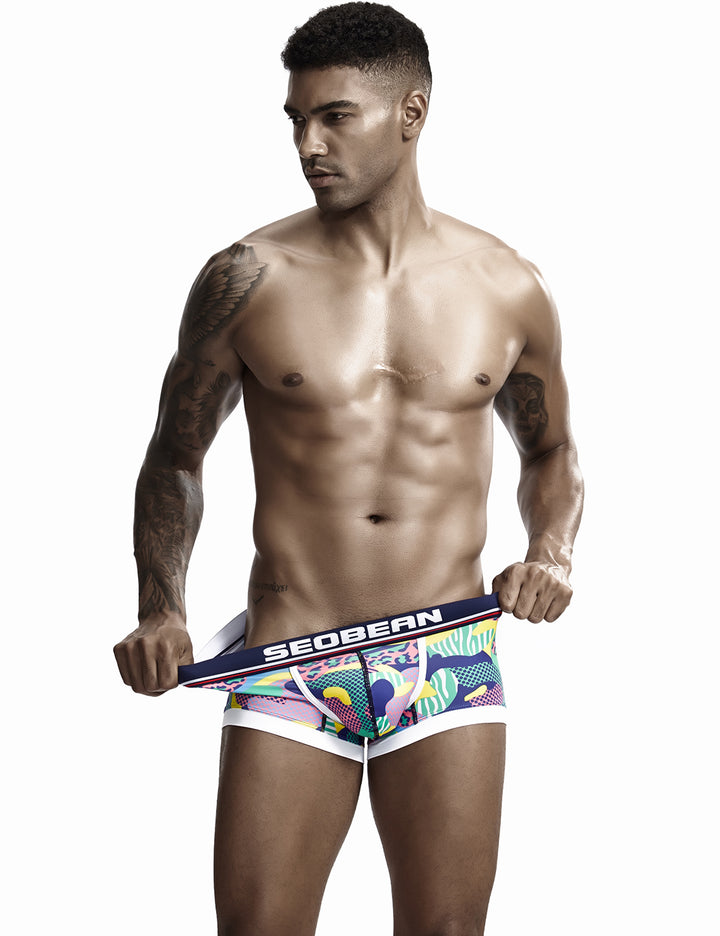 Low Rise Sexy Visual Arts Boxer Brief 90227