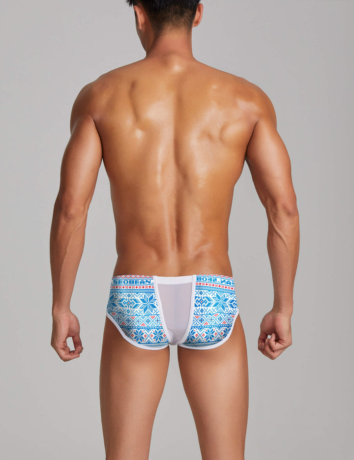 Sexy Bohemian Mesh Brief 220108