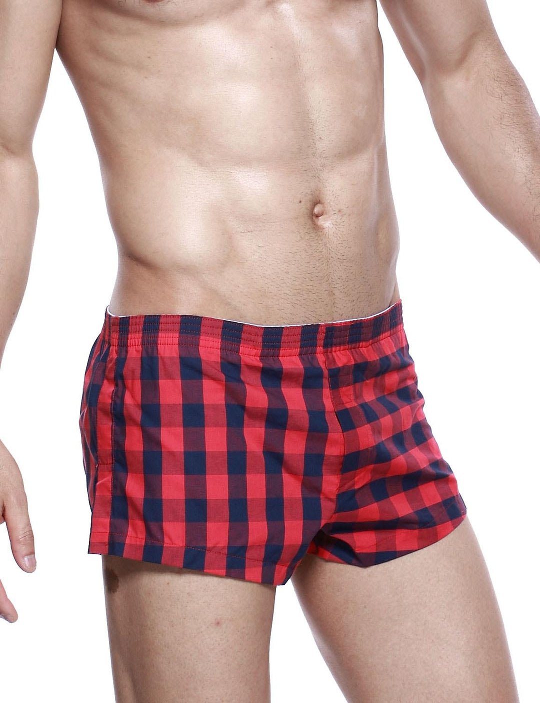 Low Rise Plaid Trunk Shorts 40505