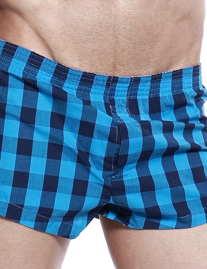 Low Rise Plaid Trunk Shorts 40505