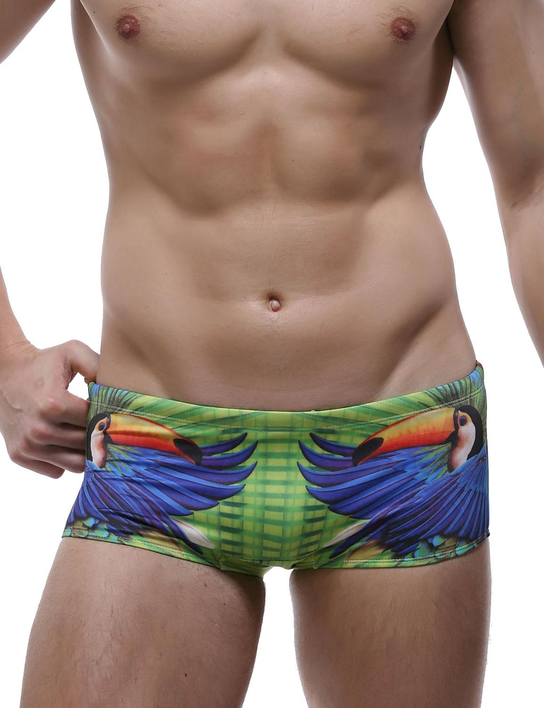 Low Rise Boxer Brief Visual Arts Swimwear 60801