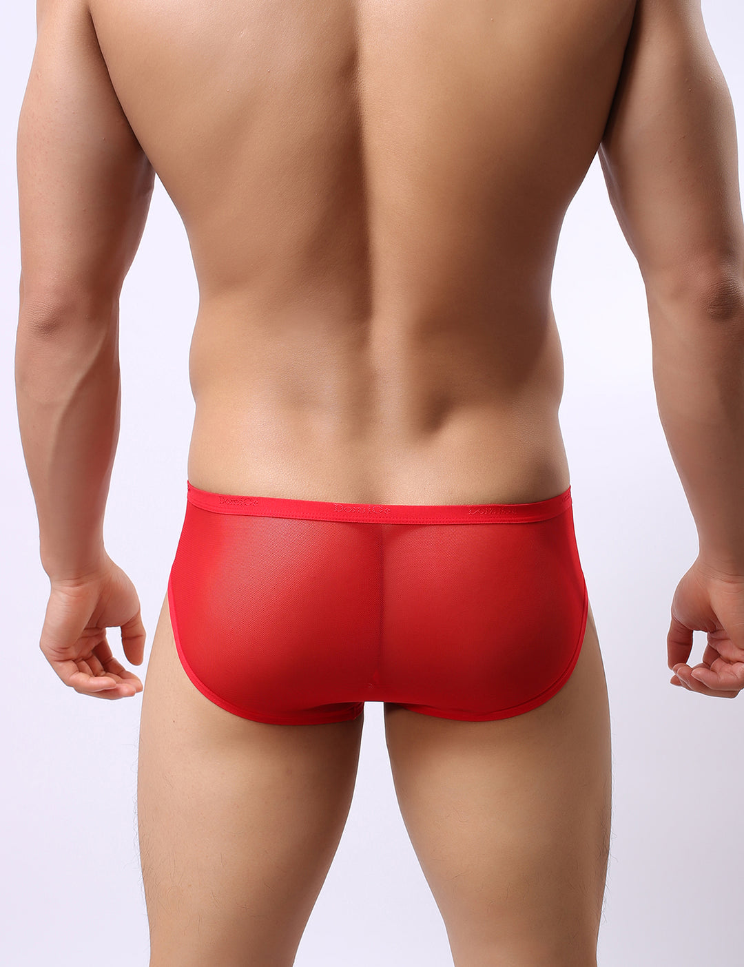 Low Rise Mesh Briefs 5044