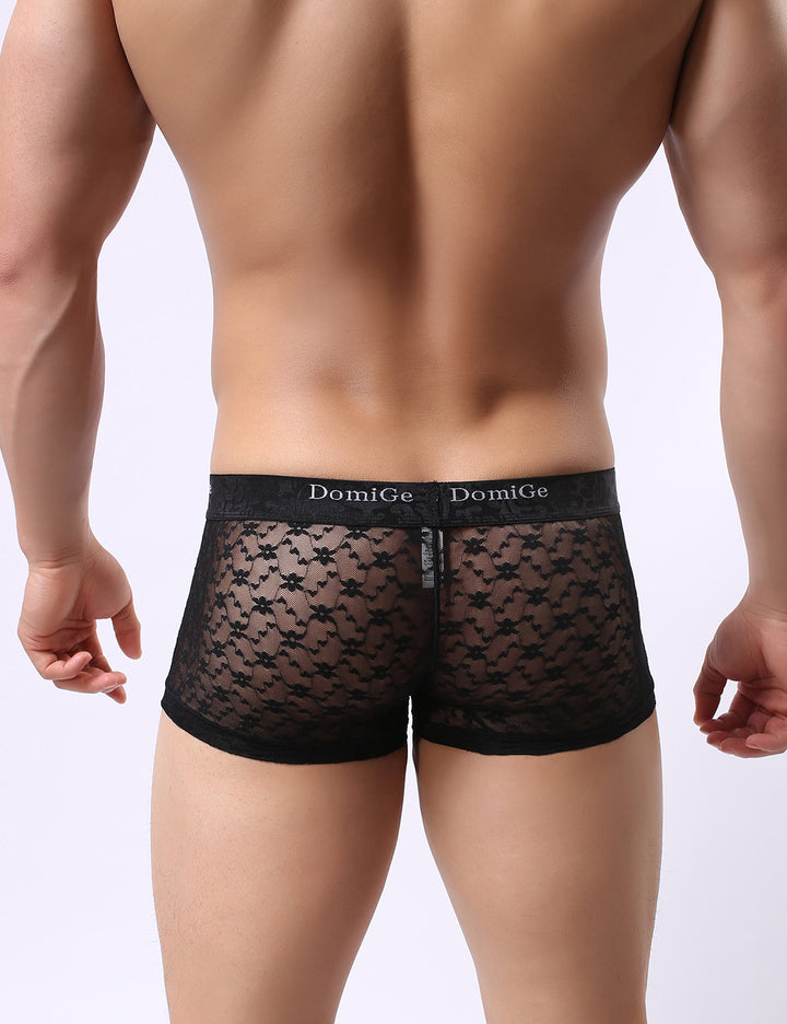 Mesh Boxer Briefs 5230