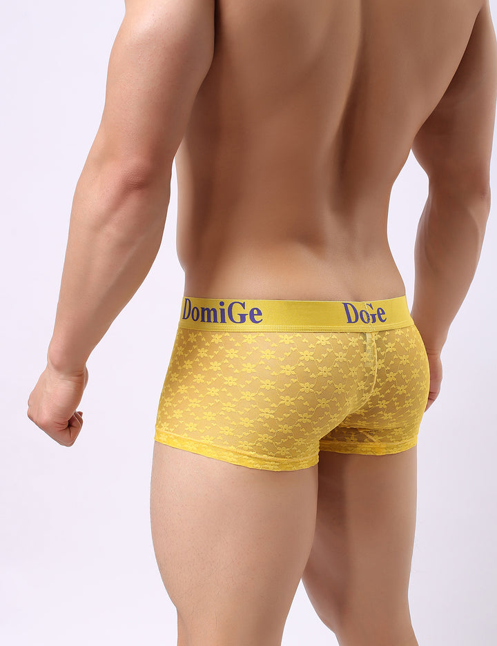 Mesh Boxer Briefs 5230