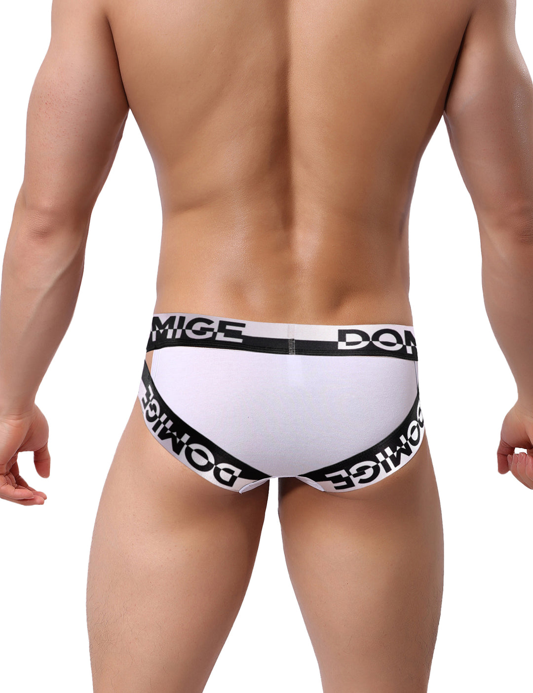 Low Rise Wide Waistband Briefs 5349