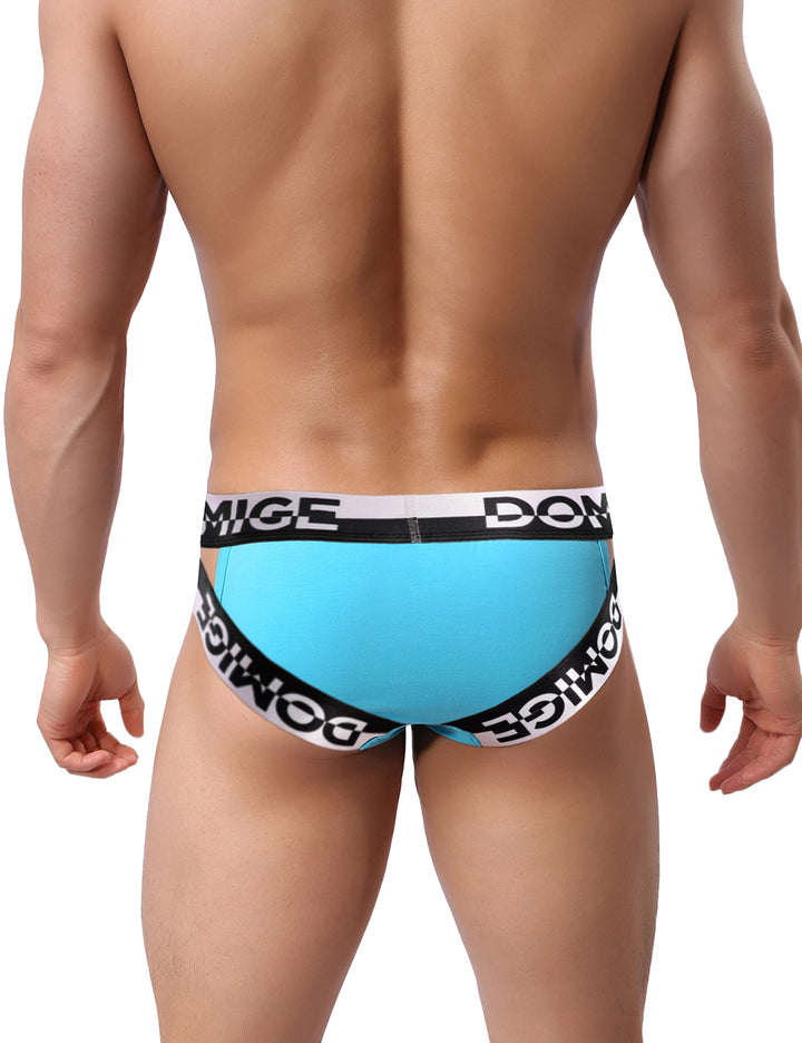 Low Rise Wide Waistband Briefs 5349