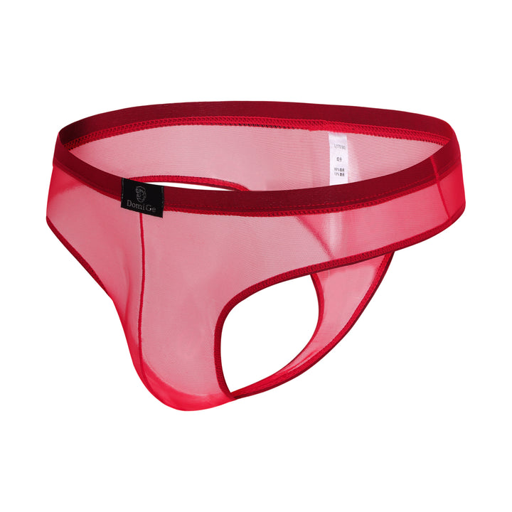 Mesh Bikini G-String Thong 5532