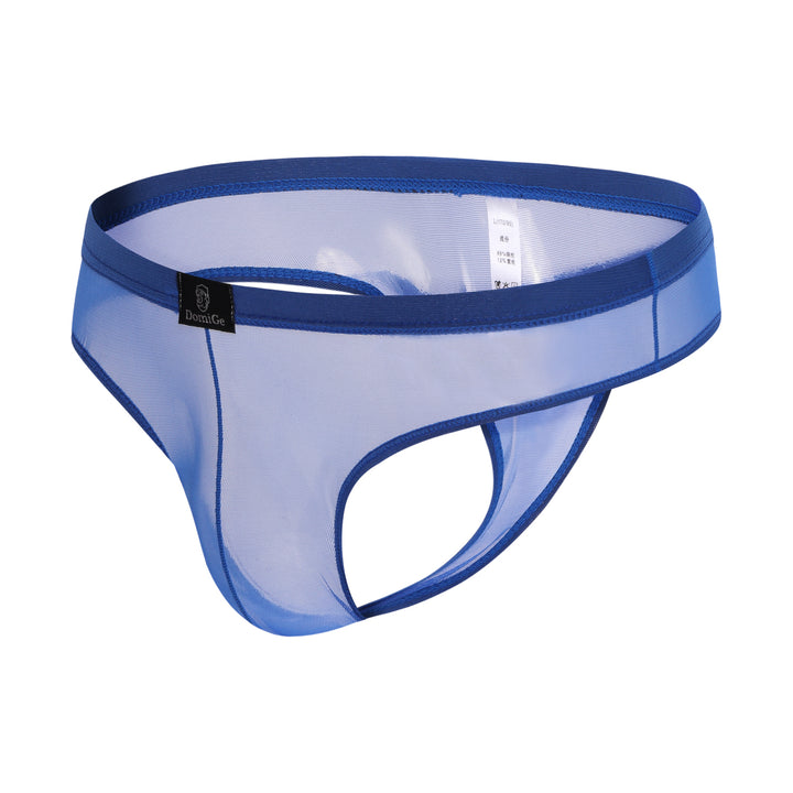 Mesh Bikini G-String Thong 5532