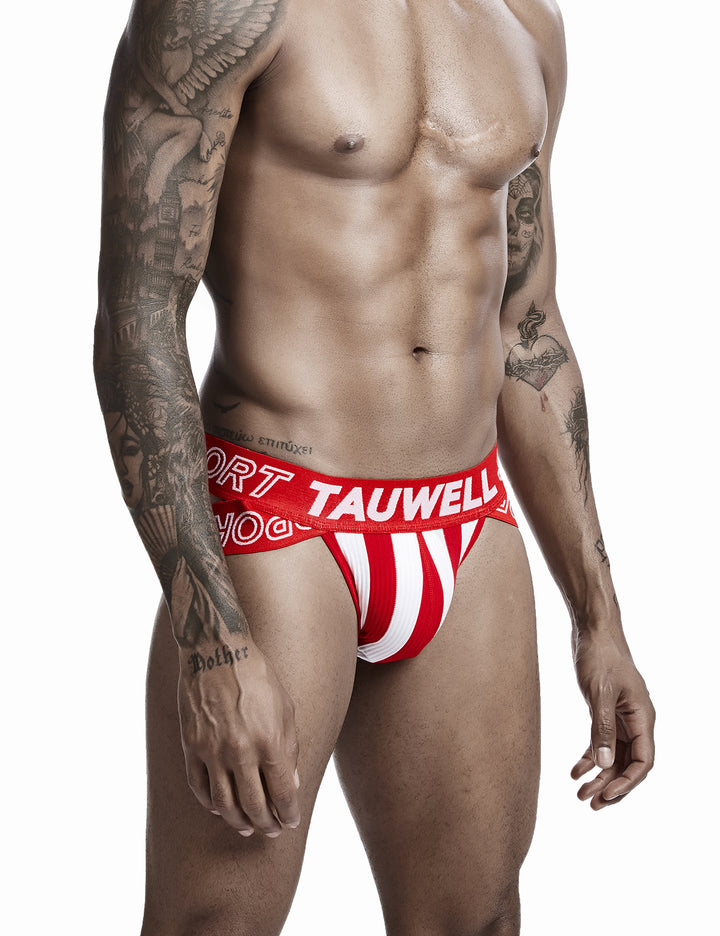 Sexy Stripe Brief 0103
