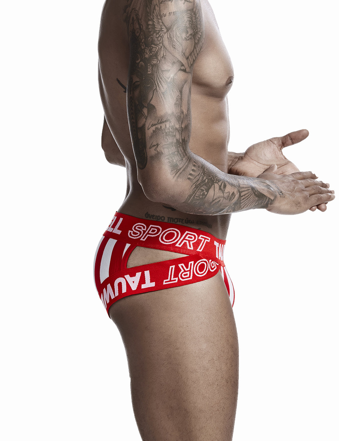 Sexy Stripe Brief 0103