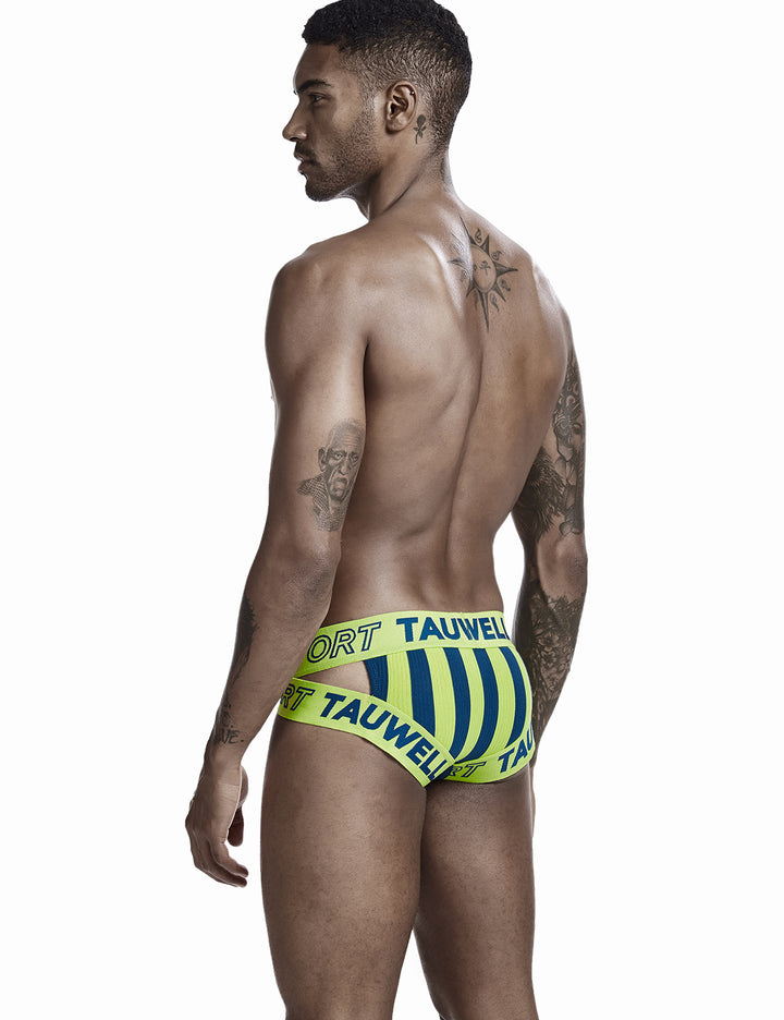 Sexy Stripe Brief 0103