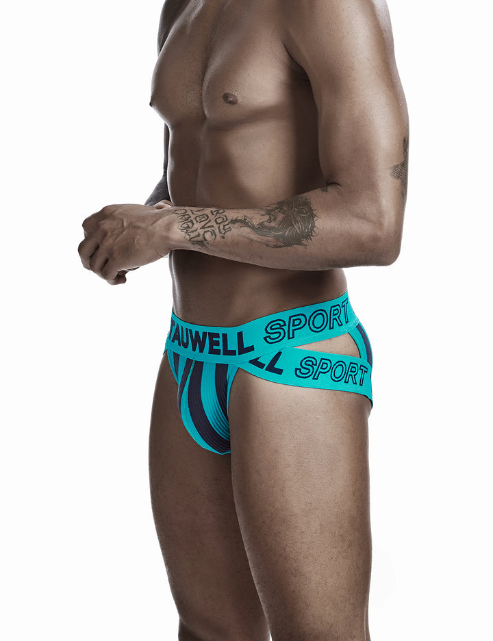 Sexy Stripe Brief 0103