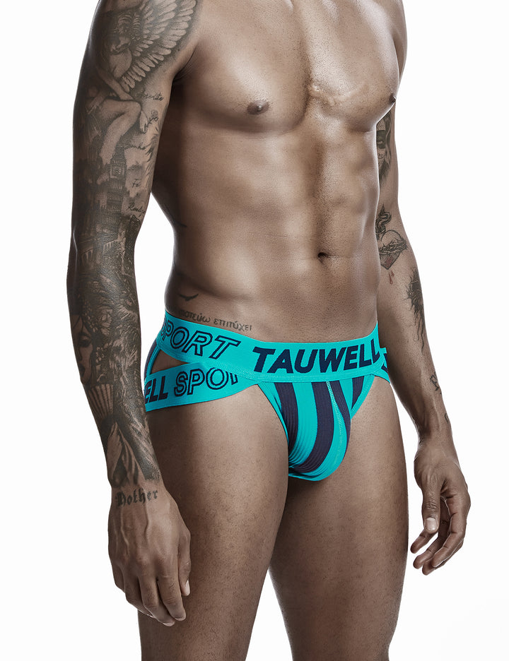 Sexy Stripe Brief 0103