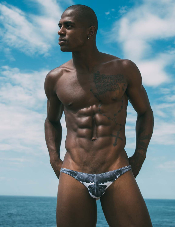 Sexy Low Rise Brief Bikini 00102