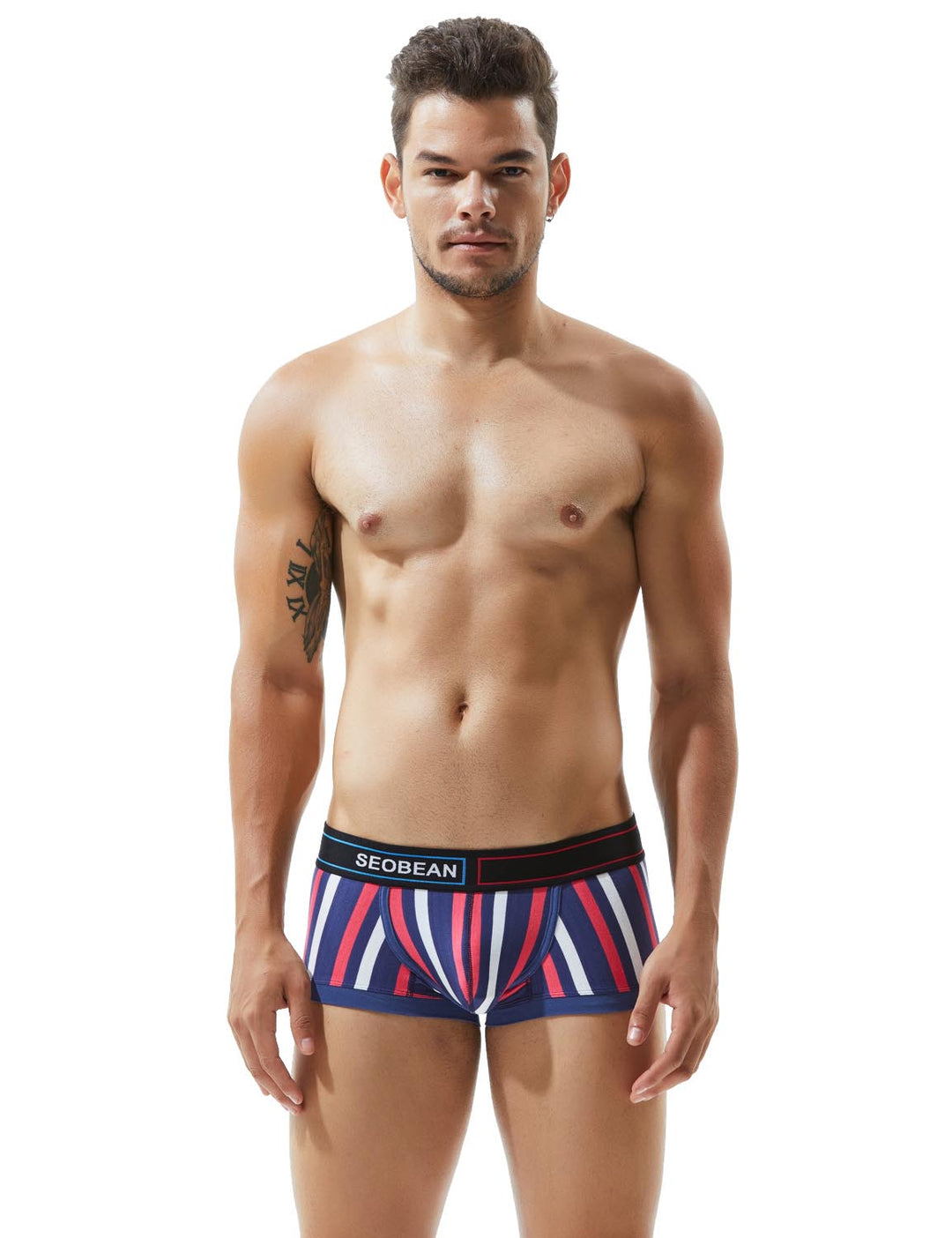 Low Rise Stripe Boxer Brief 80214