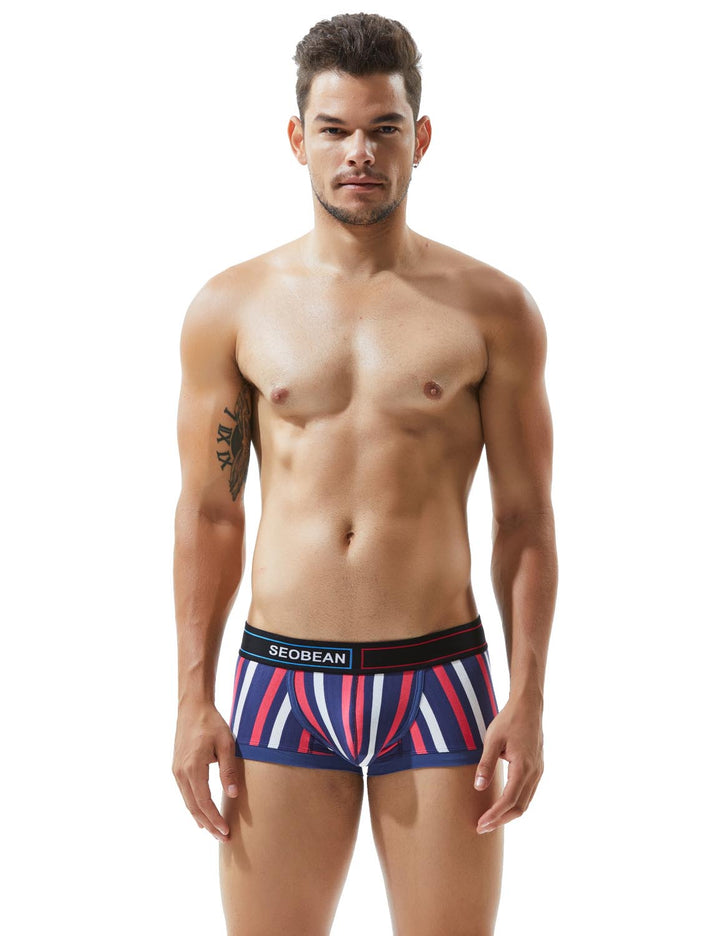 Low Rise Stripe Boxer Brief 80214